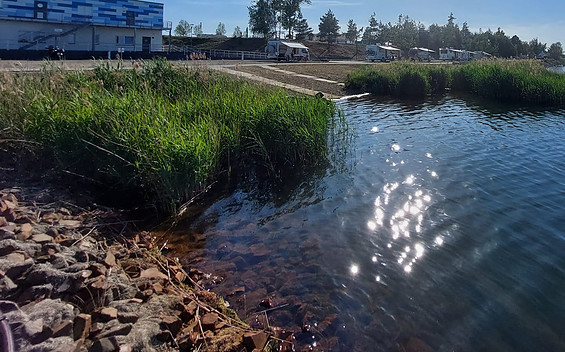 Campingplatz Außenanlage, Foto: Zweckverband Lausitzer Seenland Sachsen