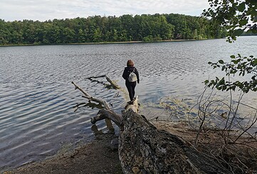 Uferwanderung Straussee, Foto: Marie Kessler, Lizenz: Seenland Oder-Spree
