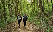 Spätaufstehertour nach Wendisch Rietz, Foto: Marie Kessler, Lizenz: Seenland Oder-Spree