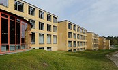 Waldseite UNESCO-Welterbe Bauhaus in Bernau, Foto: Jean Molitor