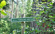 Rast an der Fontane-Kiefer im NSG Löcknitzta, Foto: Gemeinde Grünheide (Mark)