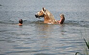 Reitpension am Wiesengrund, Pferd im See, Foto: Martin Grunwald