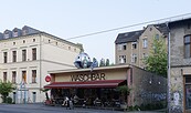 Waschbar, Foto: André Steibitz, Lizenz: PMSG Potsdam Marketing und Service GmbH