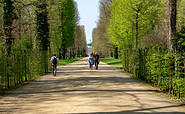 Park Sanssouci, Foto: Steffen Lehmann, Lizenz: TMB-Fotoarchiv
