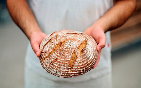 Bäckerei VOLLKERN Brot in Händen, Foto: Noel Richter, Lizenz: Bäckerei VOLLKERN GmbH