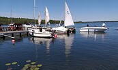 Sailing with expeditours on Lake Senftenberg, Foto: Denise Haynert, Lizenz: Tourismusverband Lausitzer Seenland e.V.