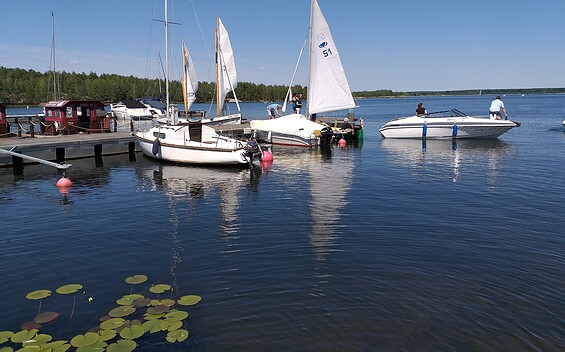 Expeditours - sailboats, pleasure boats, SUP boards at Lake Senftenberg