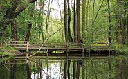 Hammersee, Foto: Marie Kessler, Lizenz: Seenland Oder-Spree