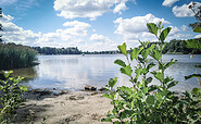 Seeblick - Weißer Strand Lehnitzsee, Foto: Thomas Ahrens / TKO gGmbH, Lizenz: TKO gGmbH