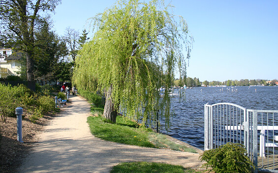 Family bike tour to lake Zeuthener See