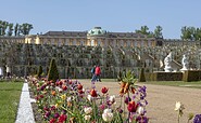 Sanssouci Palace, Foto: André Stiebitz, Lizenz: PMSG SPSG