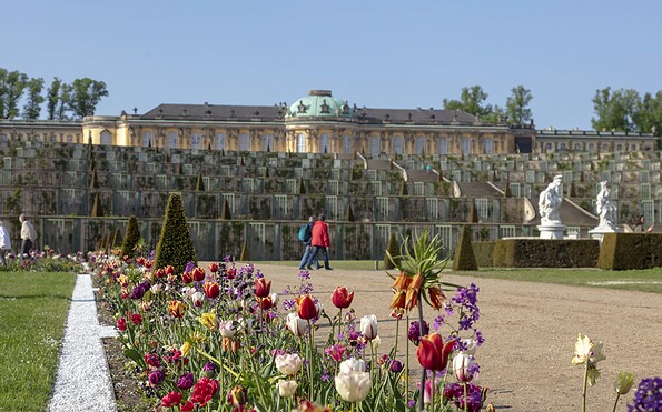 Schloss Sanssouci im Frühling, Foto: André Stiebitz, Lizenz: PMSG SPSG