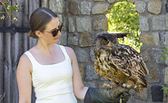 Owl Mani, Foto: Sophie Fahrendorff, Lizenz: PMSG