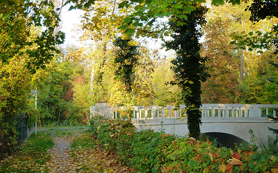 Autumn in Little Venice, Foto: Juliane Frank, Lizenz: Tourismusverband Dahme-Seenland e.V.