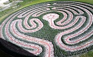 Chartres Labyrinth, Foto: Nancy Schmidt, Lizenz: Malchower Labyrinthpark