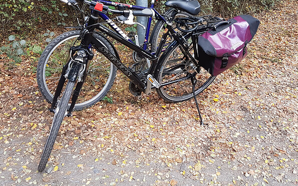 Bike tour, Foto: Petra Förster, Lizenz: Tourismusverband Dahme-Seenland e.V.