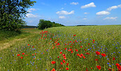 Auf dem Buttersteig in der Senziger Heide, Foto: Juliane Frank, Lizenz: Tourismusverband Dahme-Seenland e.V.
