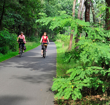 Radfahrer im Dahme-Seenland, Foto: Petra Förster, Lizenz: Tourismusverband Dahme-Seenland e.V.