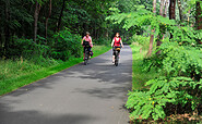 A typical cycle path in the Dahme-Seenland, Foto: Uwe Seibt, Lizenz: Tourismusverband Dahme-Seenland e.V.