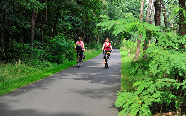 A typical cycle path in the Dahme-Seenland, Foto: Uwe Seibt, Lizenz: Tourismusverband Dahme-Seenland e.V.