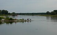 Angeln an der Oder, Foto: TV-SOS