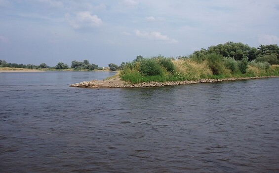 Oder, Foto: TV Seenland Oder-Spree
