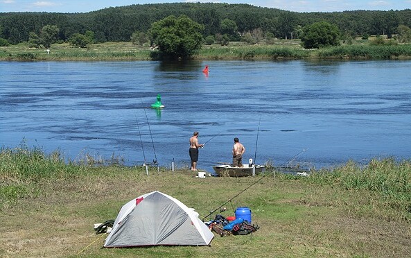 Angeln an der Oder, Foto: Seenland Oder-Spree