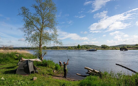 Oder, Welsangeln, Foto: Florian Läufer