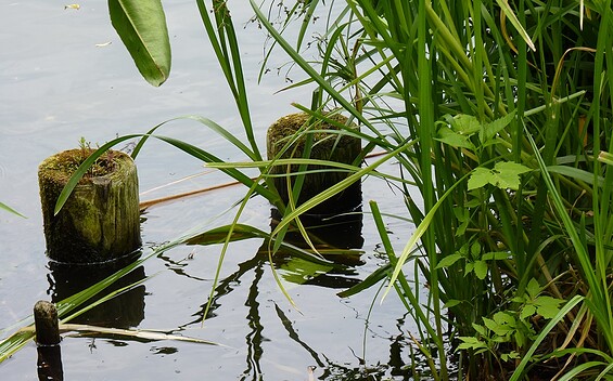 Großer Tonteich, Foto: Petra Förster, Lizenz: Tourismusverband Dahme-Seenland e.V.