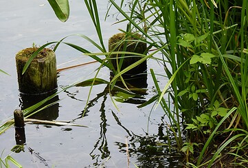 Großer Tonteich, Foto: Petra Förster, Lizenz: Tourismusverband Dahme-Seenland e.V.