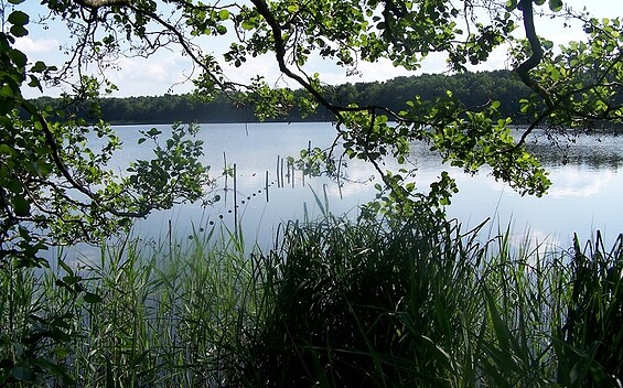 Todnitzsee (fishing waters)