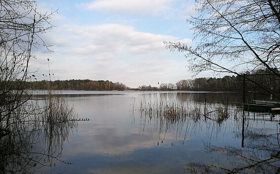 Pätzer Vordersee, Foto: Petra Förster, Lizenz: Tourismusverband Dahme-Seenland e.V.