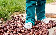 LAUSL-Park Bestensee, Foto: Juliane Frank, Lizenz: Tourismusverband Dahme-Seenland e.V.