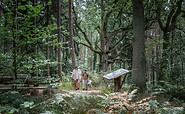 Hikers on the old oak trail at Hubertusstock, Foto: Frank Günther, Lizenz: Gemeinde Schorfheide