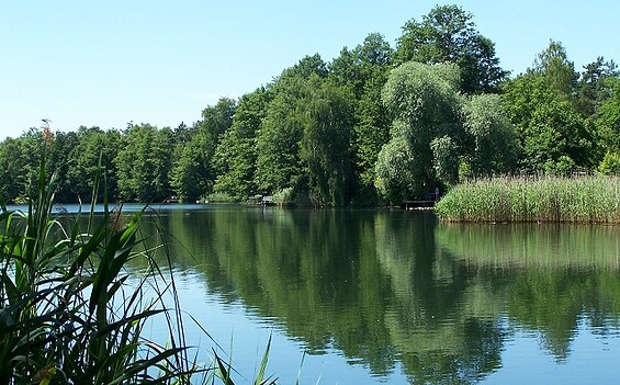Großer Kiessee II, Foto: Günter Schönfeld, Lizenz: Tourismusverband Dahme-Seenland e.V.