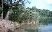 Kleiner Tonteich, Foto: Petra Förster, Lizenz: Tourismusverband Dahme-Seenland e.V.