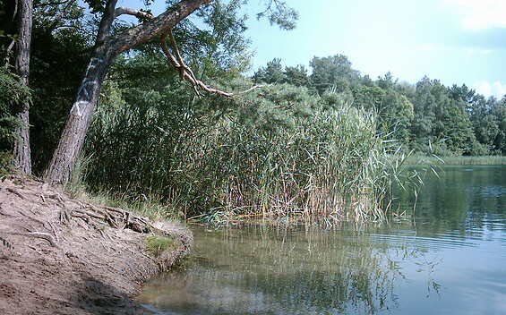 Kleiner Tonteich, Foto: Petra Förster, Lizenz: Tourismusverband Dahme-Seenland e.V.