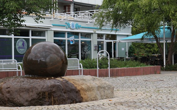 Eisrose, Foto: Tim Matthies, Lizenz: EBKTM