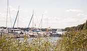 Hafen am Jugendbildungszentrum Blossin, Foto: Christin Drühl, Lizenz: Christin Drühl