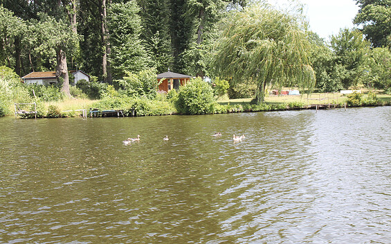 Blick auf den Dolgensee, Foto: Pauline Kaiser, Lizenz: Tourismusverband Dahme-Seenland e.V.