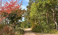 Feldweg bei Groß Schönebeck, Foto: Anke Bielig, Lizenz: Gemeinde Schorfheide