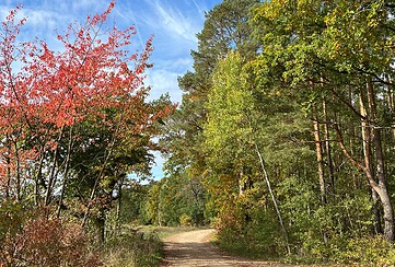 Feldweg bei Groß Schönebeck, Foto: Anke Bielig, Lizenz: Gemeinde Schorfheide