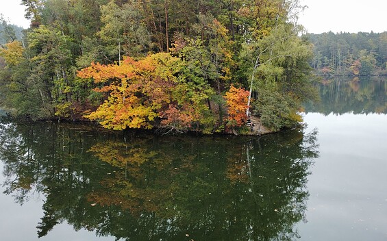 Rundwanderweg Wirchensee , Foto: Marie Kessler, Lizenz: Seenland Oder-Spree