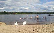 Badewiese Eichwalde, Foto: Petra Förster, Lizenz: Tourismusverband Dahme-Seenland e.V.