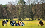 Blick auf die Pferdekoppeln, Foto: Reiter- &amp; Erlebnisbauernhof Groß Briesen