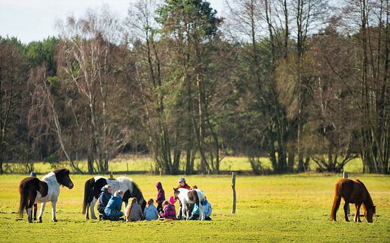 Blick auf die Pferdekoppeln, Foto: Reiter- & Erlebnisbauernhof Groß Briesen