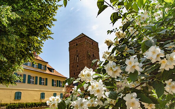 Blick auf die alte Bischofsburg, Foto: Steffen Lehmann, Lizenz: TMB Tourismus-Marketing Brandenburg GmbH