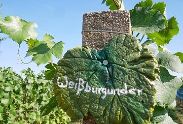 Weingut Patke Seenland Oder-Spree