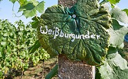 Weingut Patke, Foto: Angelika Laslo, Lizenz: Seenland Oder-Spree