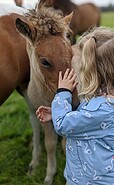 Fohlen mit Kind, Foto: Reiter- &amp; Erlebnisbauernhof Groß Briesen